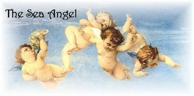   Sea Angel  
 Beach Rental