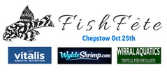 Fishfête