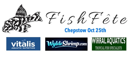 Fishfête