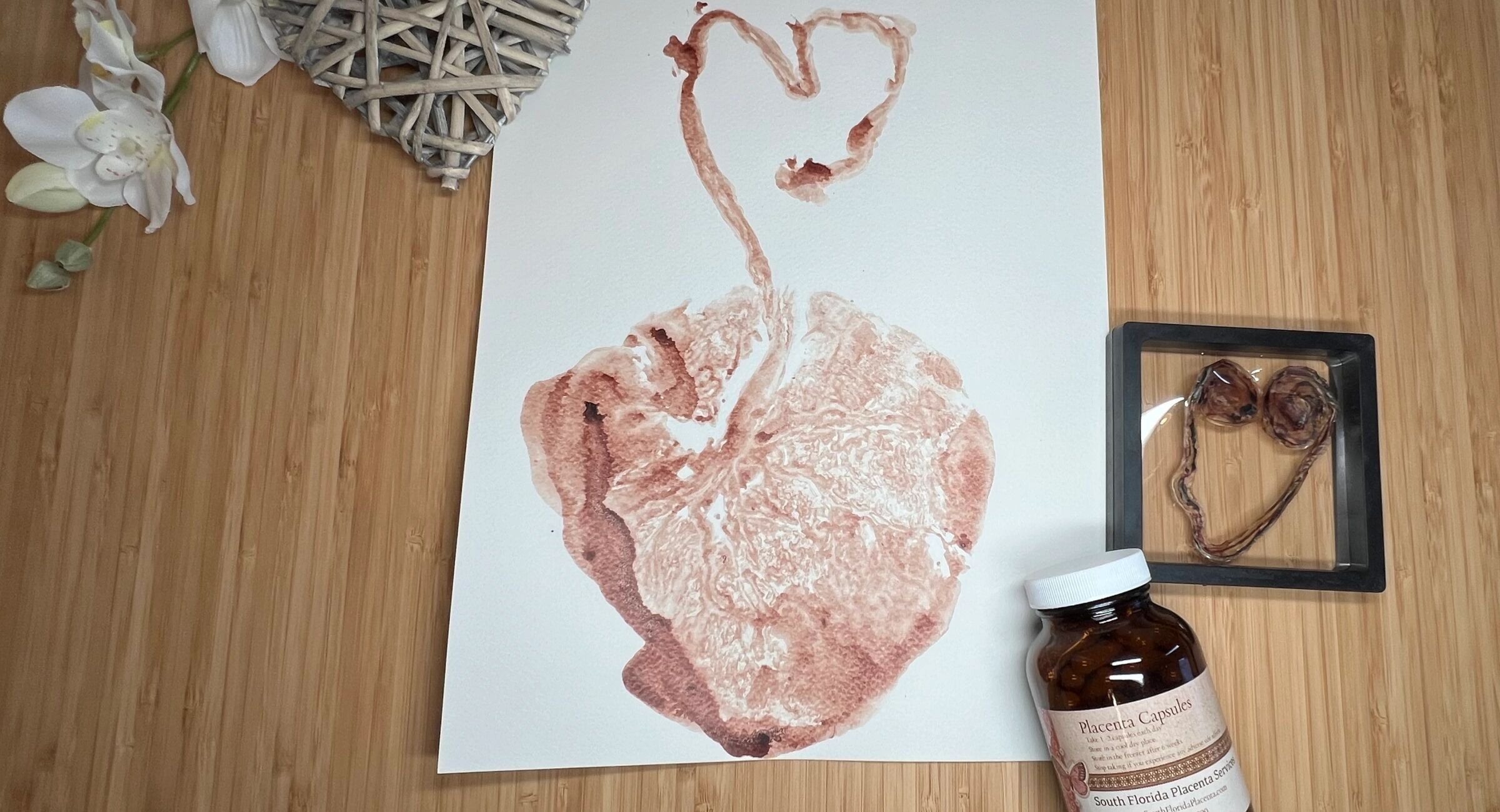 Placenta Encapsulation FAQs - Nashville Placenta