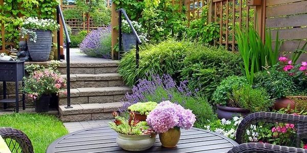 Cozy garden patio with blooming flowers and stone steps.
