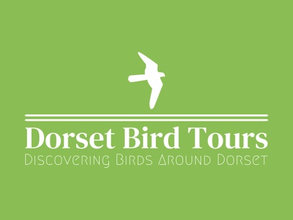 Dorset Bird Tours