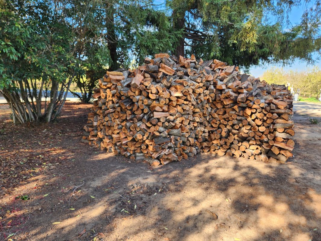 Almond wood for sale!