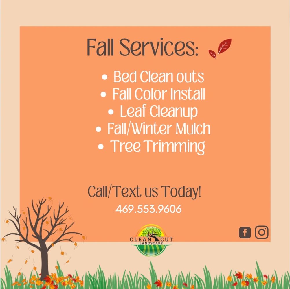 clean cut tree service llc