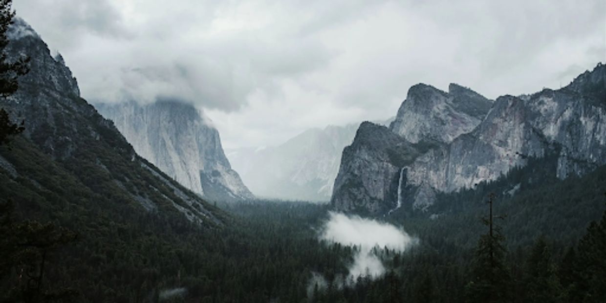Misty forest valley with waterfall