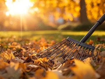 raking fall leaves for a yard leaf clean up