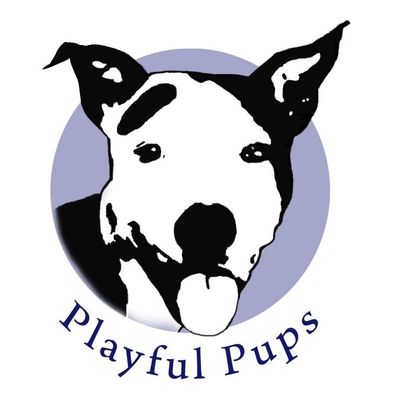 Dog Trainer & Positive Reinforcement Dog Training in Kinderhook, NY at Playful Pups