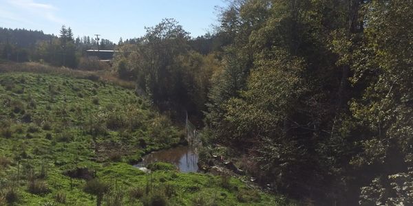  A Riparian Areas Protection Regulation setback and habitat restoration area