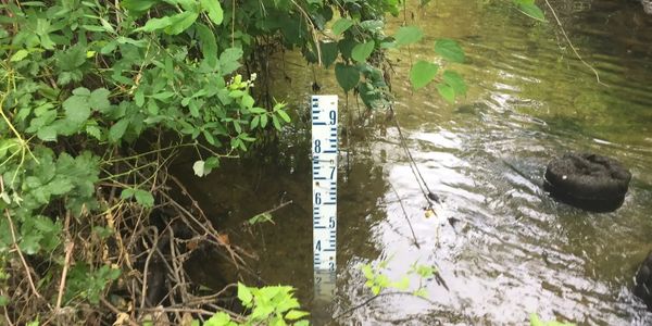 Monitoring water quality and ramping rates using a staff gauge in a creek