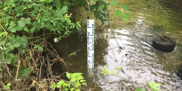 Monitoring water quality and ramping rates using a staff gauge in a creek