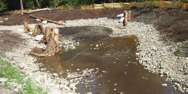 Creating fish habitat and instream work.