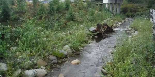 Monitoring a habitat restoration area