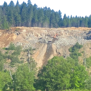 A view of our quarry, excavator in the mining around. surrounded by green trees