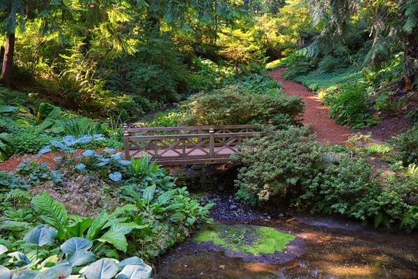 A serene garden scene with a small wooden bridge crossing over a gentle stream