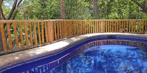 Curved pool with blue tiles surrounded by a wooden fence and lush greenery.