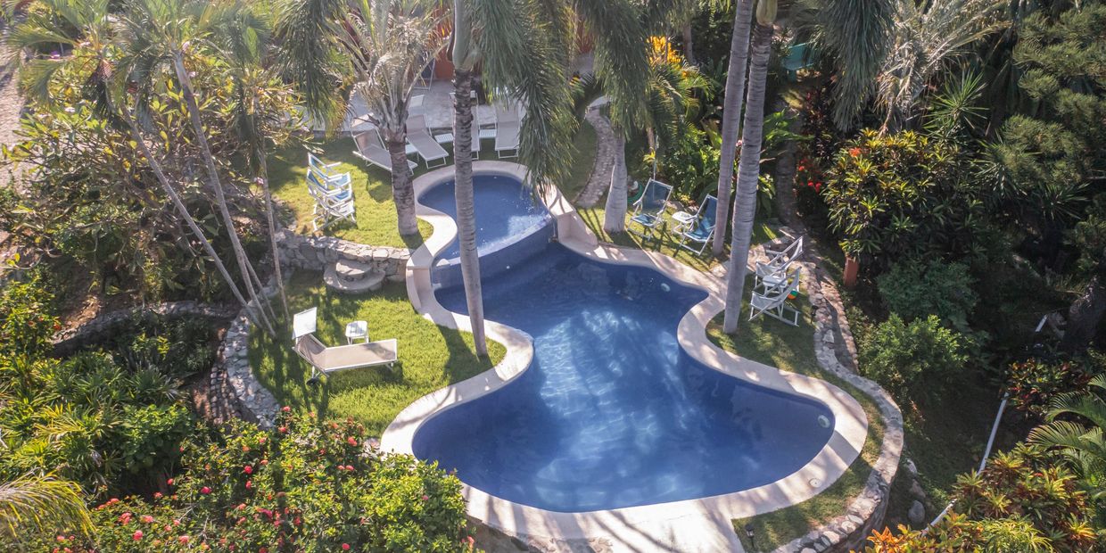 A serene kidney-shaped pool surrounded by palm trees and lounge chairs in a lush garden.