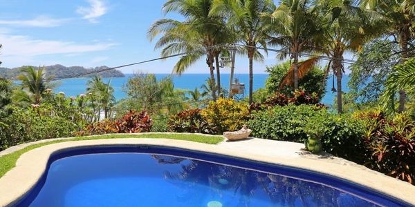 Scenic poolside view with tropical plants and ocean in the background.