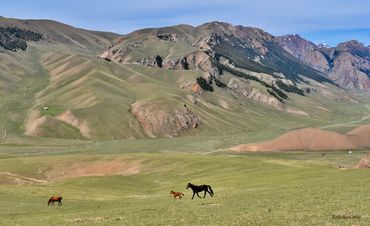 Kyrgystan life