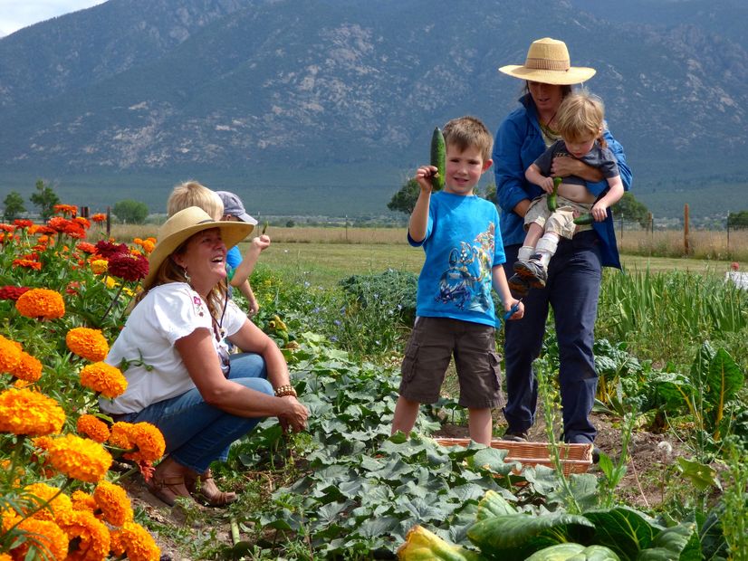 Local, healthy, fresh food