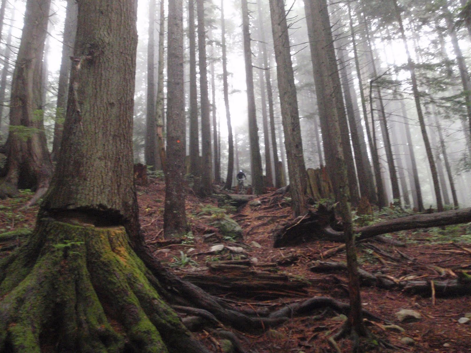If You Go Out In The Woods Today Open Season When You Go Out In The Woods Today