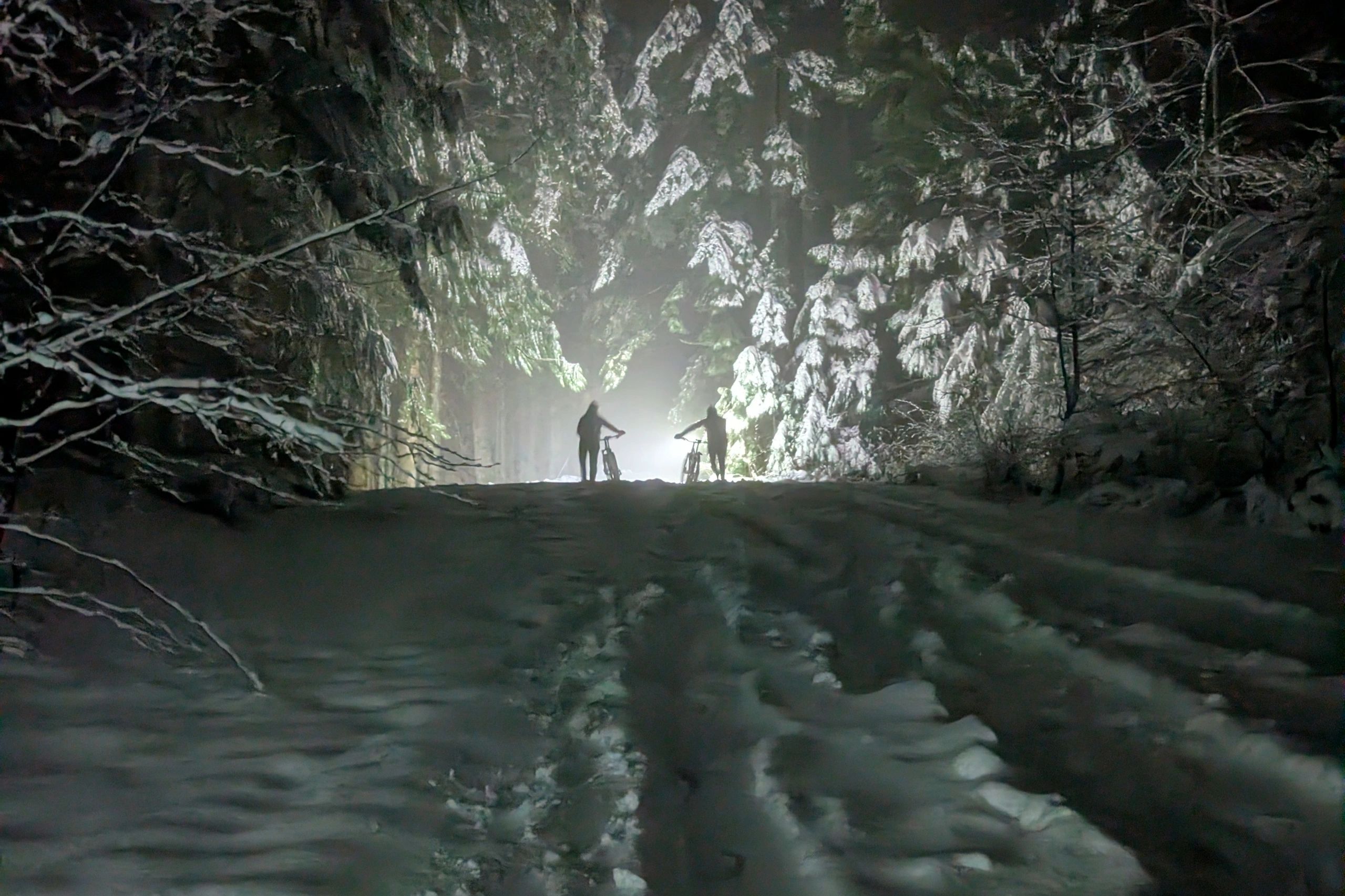 Two people with bikes in a snowy, dark forest illuminated by bright light.