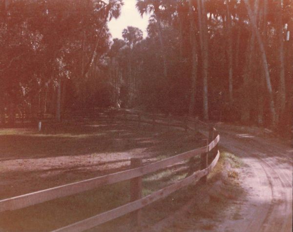 Dirt road with wooden fence