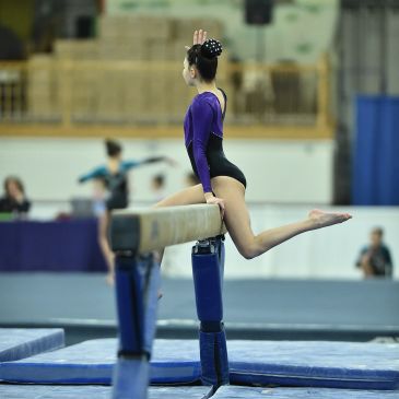 Gymnast performing on balance beam in purple and black outfit.