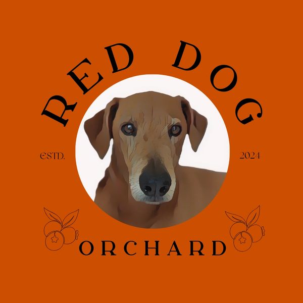 Logo of Red Dog Orchard featuring a brown dog on an orange background.