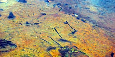 Abstract colorful water surface with submerged objects.