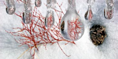 "Frozen (Every Drop)" Fine Art Photography by Artist Robert Rosenblum