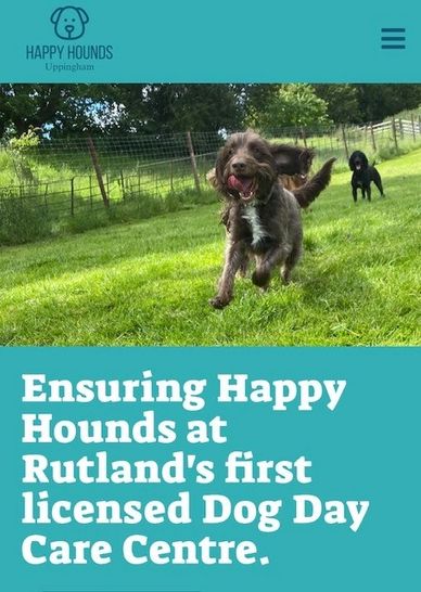 Dogs playing