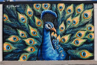 Vibrant mural of a peacock with its feathers fully displayed.