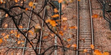 An photo of a railway with lines criss-crossing taken in Autumn 