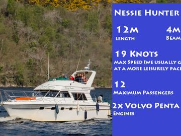Nessie Cruises