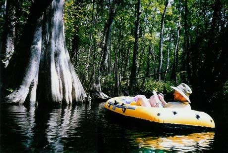 Craig Pittman on the Ichetucknee River.