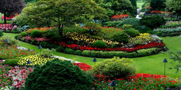 Landscaping Services in Reno, Sparks & Lake Tahoe | Lake Tahoe Landscaping