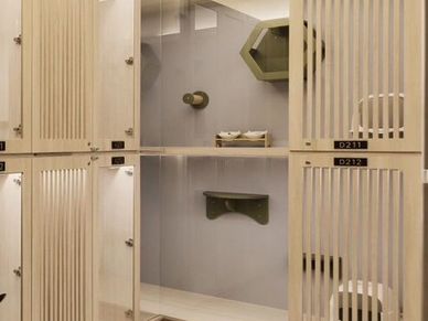 繆思貓旅大衛營房型空間，提供高活動空間及多貓家庭的台中貓咪住宿豪華貓房