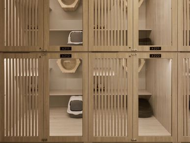 繆思貓旅雅典營貓咪房型，適合長天數住宿的台中貓旅館專業空間