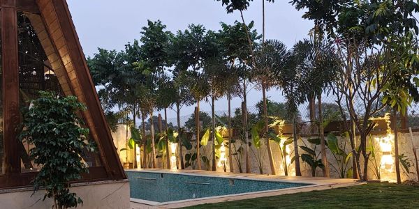 A serene outdoor pool area with illuminated trees at dusk.