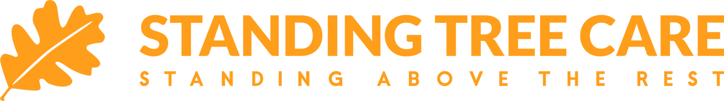 Standing Tree Care