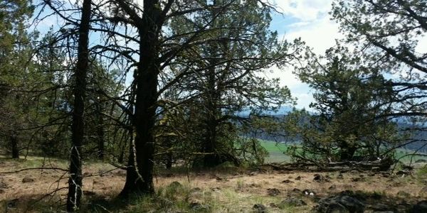SUNSET REAL ESTATE, VACANT LAND FOR SALE, BUY LAND IN CALIFORNIA, OFF THE GRID NORTHERN ARIZONA
