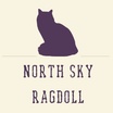 North Sky Ragdoll