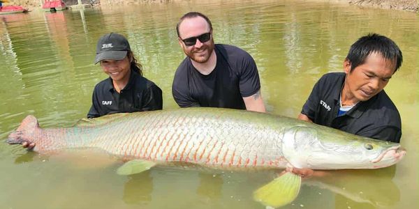 Three people holding a large fish in shallow water, smiling.
