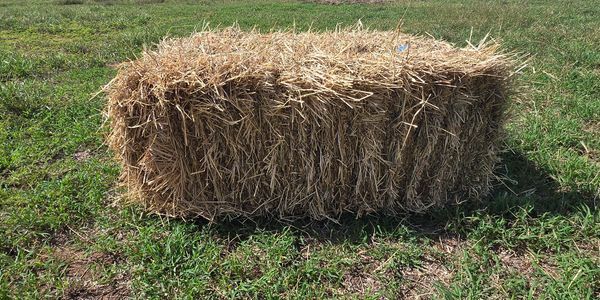 A rectangular hay bale on green grass under a clear blue sky.