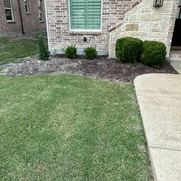 Yard that needs landscaping. Flower bed is rocks and mud. Flower bed needs mulch.