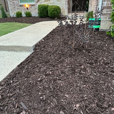 Fresh mulch. Clean landscape. Picture of house located in Frisco.