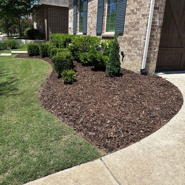 Freshly laid mulch. Green grass. Clean landscaping. 