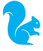 blue squirrel express