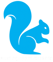 blue squirrel express