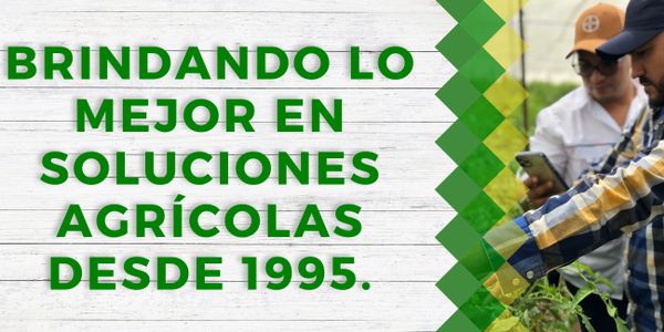 Brindando lo mejor en soluciones agrícolas desde 1995.
Calidad
Genetica
Rendimiento
Productividad